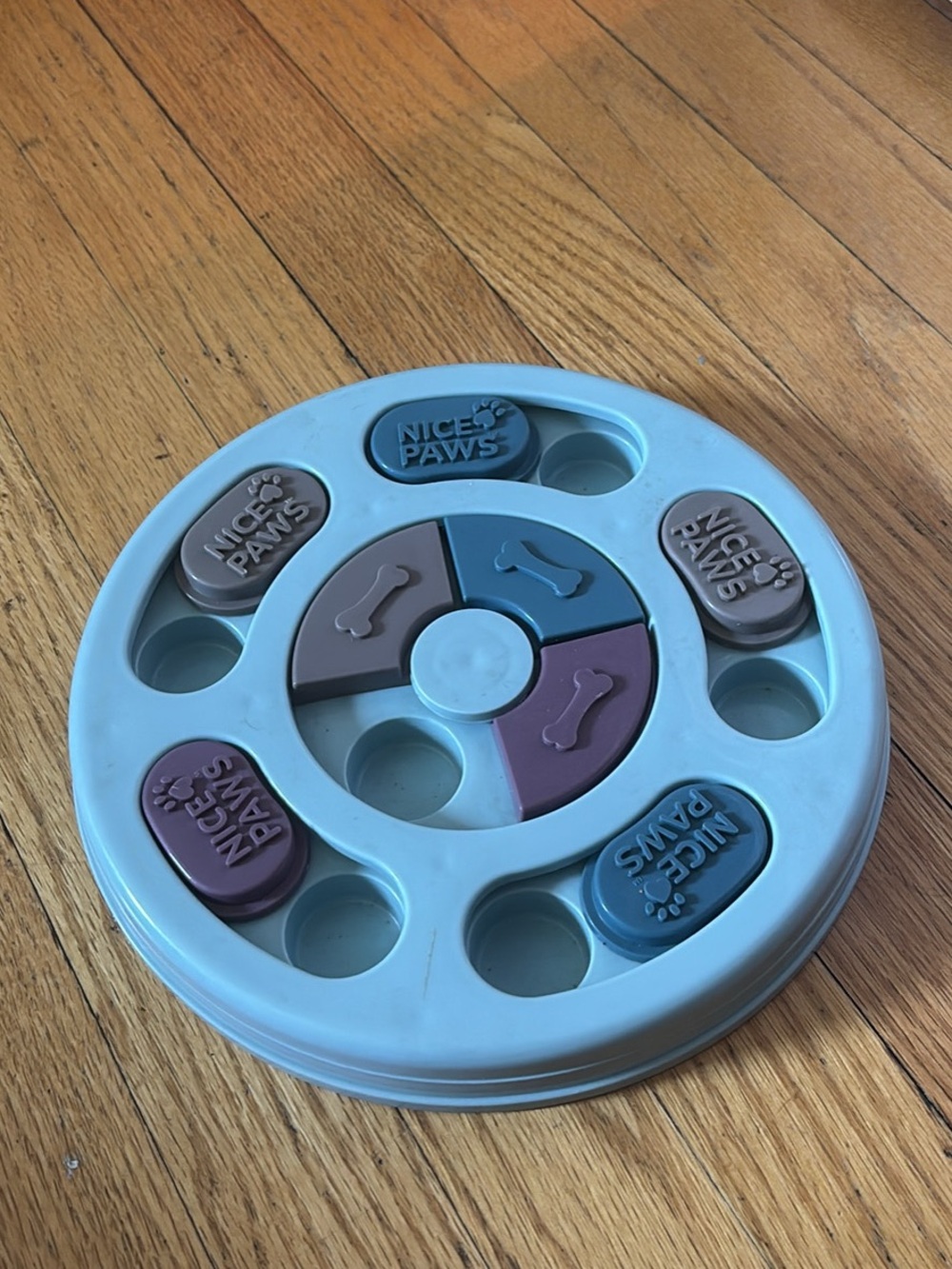 Interactive Treat Puzzle - Light Blue